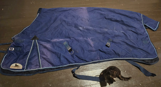 81" Winter Turnout blanket used